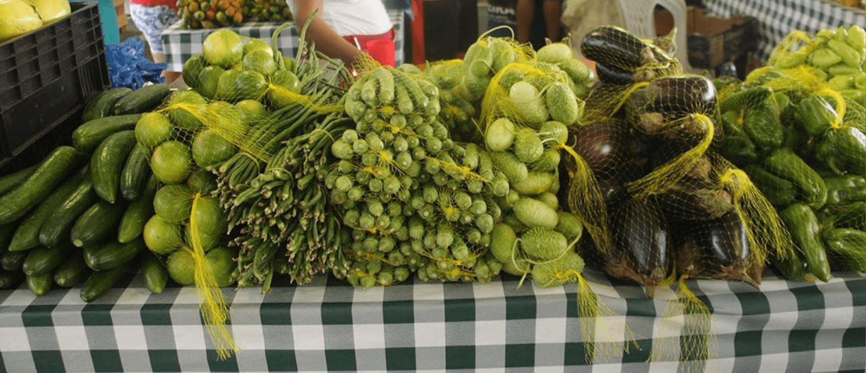 Fortalecimento da agricultura familiar